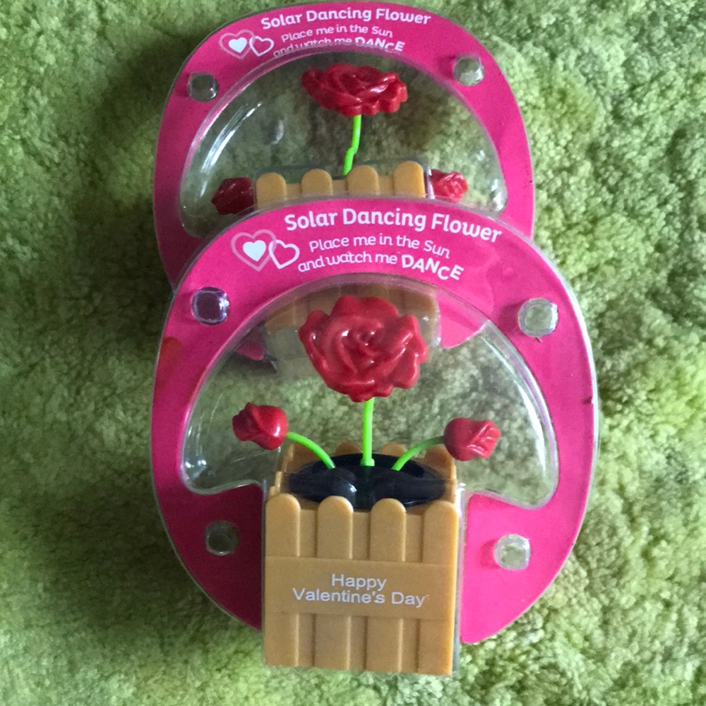 Solar dancing rose